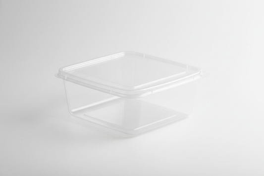 rectangular plastic takeaway container plain in studio background
